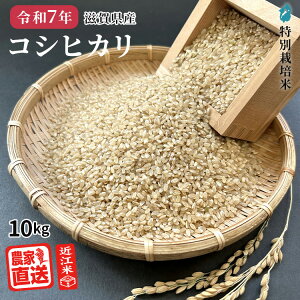 2025�N�Y�V�āb �R�V�q�J�� �y ���� �z �ߍ]�� �_�ƒ��� �� 2kg 3kg 5kg 10kg 30kg 60kg ���ʍ͔|�� �ߘa7�N ���ꌧ�Y ���� ����