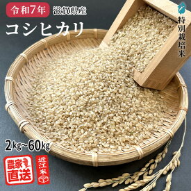 コシヒカリ 【 玄米 】 近江米 農家直送 米 2kg 3kg 5kg 10kg 特別栽培米 令和7年 2025年産米 滋賀県産 お米 白米
