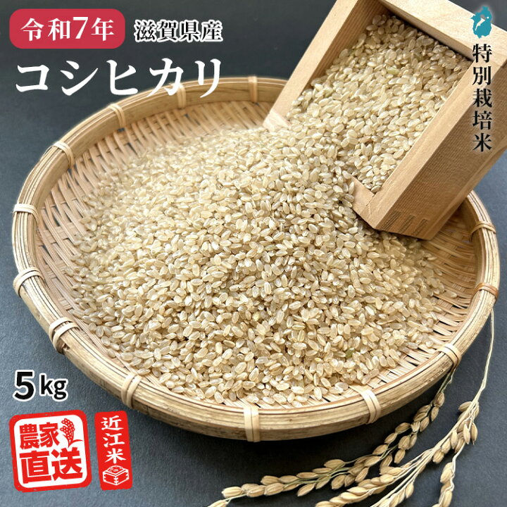 楽天市場】コシヒカリ 【 玄米 】 近江米 農家直送 米 2kg 3kg 5kg 