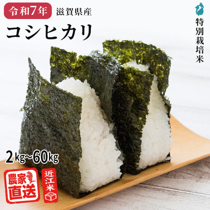 楽天市場】コシヒカリ 【 白米 】近江米 農家直送 米 2kg 3kg 5kg 10kg 