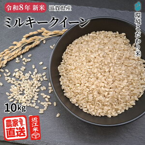 �y2026�N�Y�V�āb9�����{���n�\��z �~���L�[�N�C�[�� �y ���� �z �ߍ]�� �_�ƒ��� 2kg 3kg 5kg 10kg 30kg ���ʍ͔|�� �ߘa8�N 2026�N�Y�� ���ꌧ�Y ���� ��A�~���[�X��