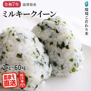 2025�N�Y�V�āb �~���L�[�N�C�[�� �y ���� �z �ߍ]�� �_�ƒ��� �� 2kg 3kg 5kg 10kg 30kg 60kg ���ʍ͔|�� �ߘa7�N ���ꌧ�Y ���� ��A�~���[�X��