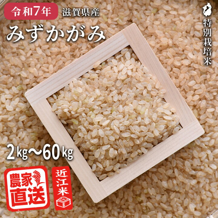 楽天市場】みずかがみ 【 玄米 】 近江米 農家直送 米 2kg 3kg 5kg 