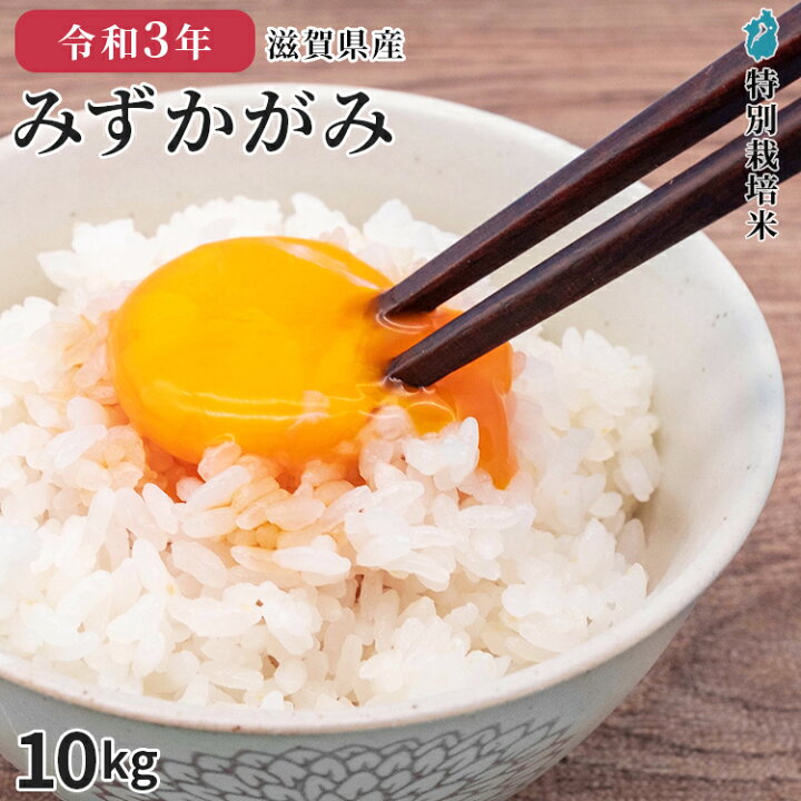 米 お米 10kg キヌヒカリ 令和3年産 滋賀県産 特別栽培米 【売れ筋】 10kg