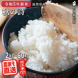 近江米 農家直送 米 秋の詩 【 白米 】 2kg～60kg 特別栽培米 お米 令和5年 滋賀県産 精米無料