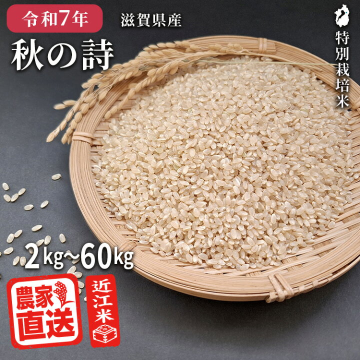 楽天市場】秋の詩 【 玄米 】 近江米 農家直送 米 2kg 3kg 5kg 10kg 
