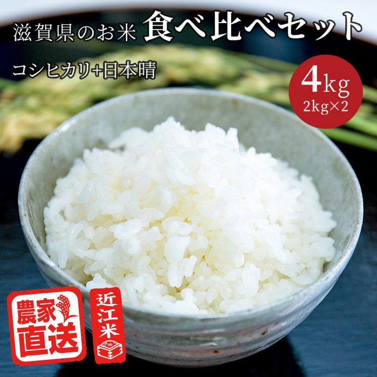 楽天市場】農家直送 近江米 令和5年産 お米食べ比べ セット コシヒカリ