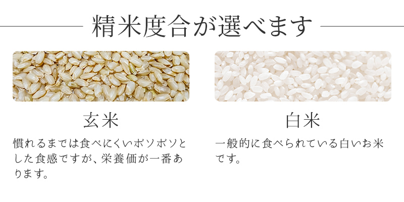 楽天市場】農家直送 近江米 令和5年産 お米食べ比べ セット コシヒカリ