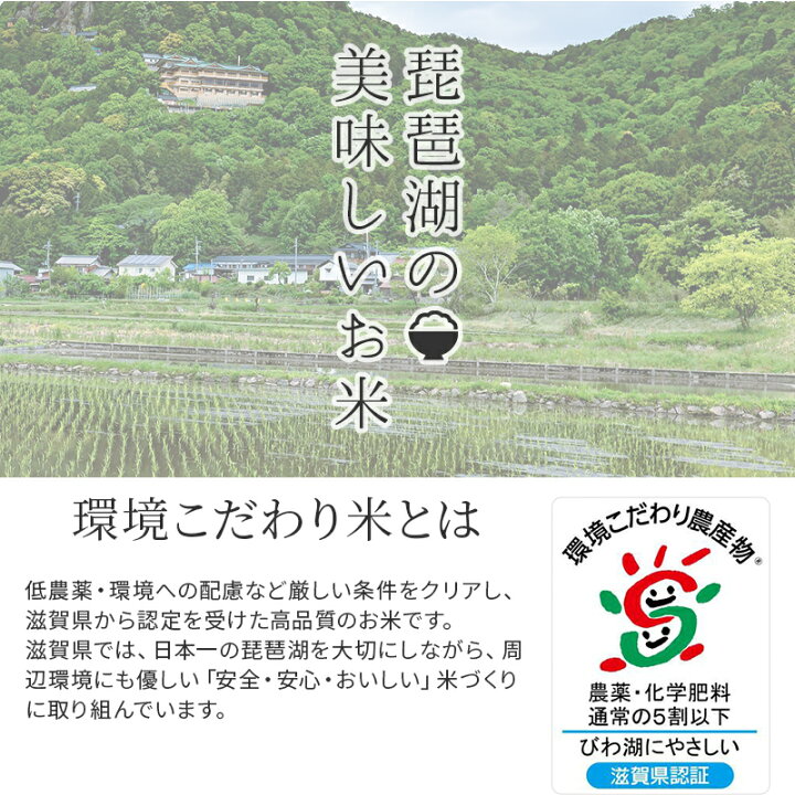 楽天市場 農家直送 近江米 令和4年産 お米食べ比べ セット コシヒカリ 日本晴 2kg 2種 計4kg 滋賀県産 白米 玄米 送料無料 少量 味比べ 21年 茂森農園