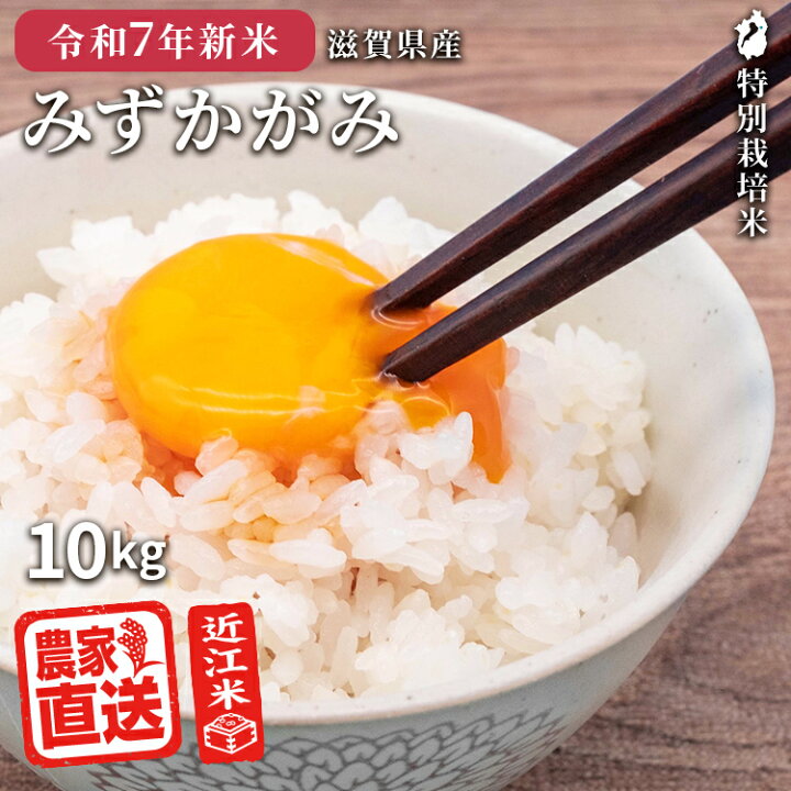楽天市場】みずかがみ 【 白米 】 近江米 農家直送 米 2kg 3kg 5kg 