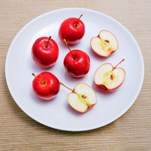 AvX@P񂲁@ƒp@쌧Y@p@ٗp@َq@񂲈@R|[g@W@ʎ