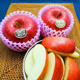 最高級品　サンふじ　チャンピオンりんご®　　贈答用　長野県志賀高原産　林檎　蜜　誕生日　プレゼント　フルーツ　ギフト