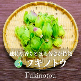 フキノトウ　ふきのとう　山菜　天然物　約100g～　長野・新潟県産　山の幸　天ぷら　ふきみそ