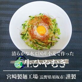 生ひやむぎ　2～5袋　甘みがありモチモチツルツルの生麺　長野県須坂市産