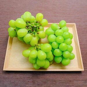 p@VC}XJbg@傫[낢@쌧Y@Ԃǂ@@َq@ف@ptF@WF[g@@yY