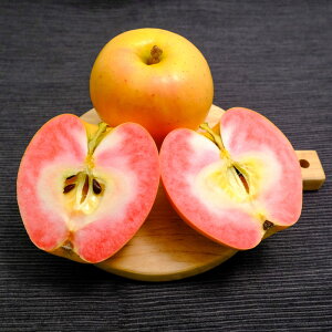 Ȃ̂̂߂@񂲁@p@쌧sY@Mtg@t[c@a@v[g