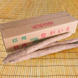 松代産ながいも　長芋　やまいも　秀　2-3L　長野県長野市松代産　ギフト　プレゼント　贈り物