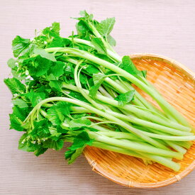 花わさび　花ワサビ　野菜　3-10束　約300g-1kg　長野県安曇野産
