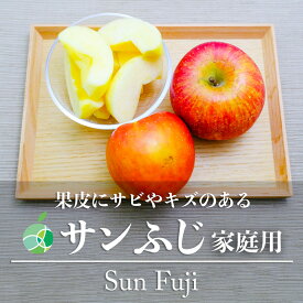 サビ・キズあり　サンふじ　りんご　家庭用　長野県産　フルーツ　自家用　林檎　調理　加工　製菓　ジャム　アップルパイ