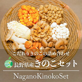 長野県産　きのこセット（8種類）シイタケ、ヒラタケ、マイタケ、ブナシメジ、ブナピー、エリンギ、エノキ、ナメコ　各2パック（16パック）約2kg