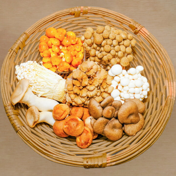 楽天市場】長野・新潟県産 きのこセット（8種類）シイタケ ヒラタケ  