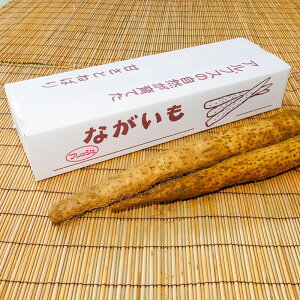 R`YȂ@@܂@2-4L@쌧R`Y@Mtg@