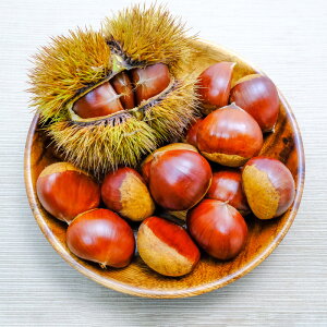 c̏z{I@@2-3L@ρ@쌧z{Y