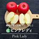 ピンクレディ　りんご　約1.4～5kg　5〜46玉　長野県産　プレゼント　フルーツ　ギフト　贈り物　お祝い　御礼　お供え