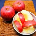 長野県産 サンふじ ｜ 贈答用 貯蔵品 ｜ 1～3営業日以内に出荷 ｜ フルーツ ギフト プレゼント お礼 お祝い お見舞い
