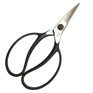 P A@͂݁@D^@NO221 {@ǐՉ\[֔@Sꗥ370~