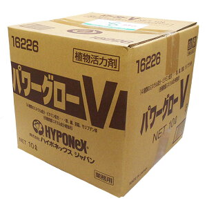 nC|lbNX A͍ p[O[V 10L ×2Zbg