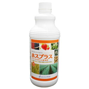 OATAOI@zXvX@1L@0-31-25@tʎUzp엿@_엿@t@_̃Xs[hz@QEԉ̏[@ʎ@B@i@ʍؗށ@tؗށ@ؗށ@