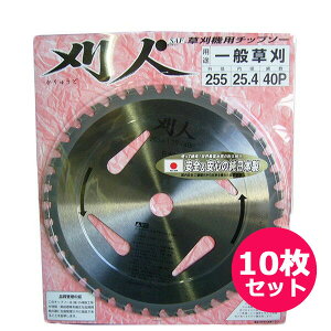 @p`bv\[@l 255×40P@SS̏{@10Zbg