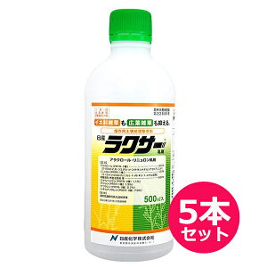 py돈܁@NT[܁@500ml×5{Zbg