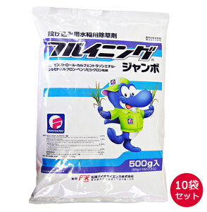 水稲用一発処理除草剤 フルイニングジャンボ 500g×10袋セット 投げ込み用