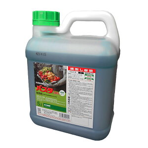 ܁@oX^t܁@5LyL2028N10zI𐫂̌st^܁@_nE_knp܁@NG@NG@_nE_knp܁@앨El{Eɂ₳@