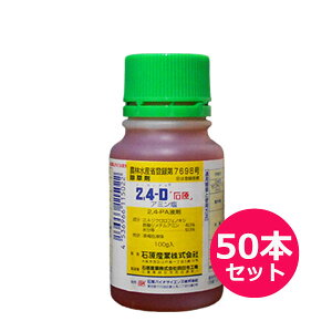 ܁@2,4-DA~ 100g×50{Zbg@p܁@GstUz@20ԁ@}coC@XMi@Ec앨EclȁEƂсEpƂ낱E{