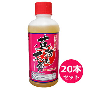 9/10()IIm1/2Iő100PobN(EvGg[)OzT[g41܁@͂ꑾY@500ml×20{Zbg@ _knp zd n H  ^ ԏ