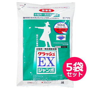 pꔭ܁@NbVEXW{@500g×5܃Zbg@ݗp