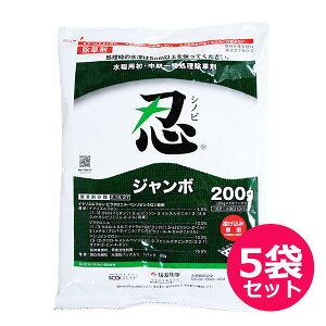 pEꔭ܁@EW{@200g×5܃Zbg@ݗp