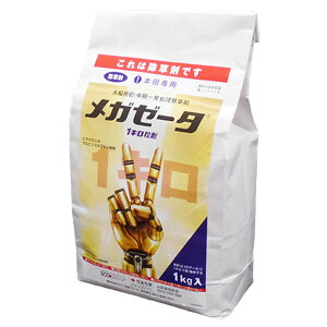 pEꔭ܁@K[[^1L܁@1kg