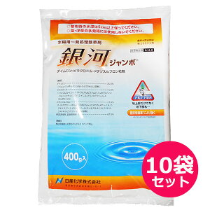 水稲用一発処理除草剤 銀河ジャンボ 400g×10袋セット 投げ込み用