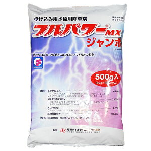 pEꔭ܁@tp[MXW{@500g@ݗp