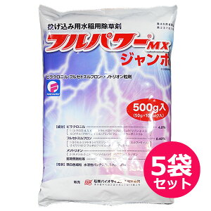 pEꔭ܁@tp[MXW{@500g×5܃Zbg@ݗp