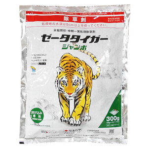 pEꔭ܁@[[^^CK[W{@300g@ݗp