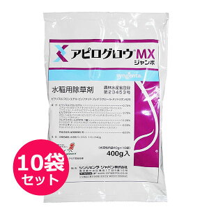 p܁@AsOEMXW{@400g×10܃Zbg@ݗp