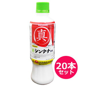 p܁@VE`EW 500ml×20{Zbg