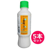楽天市場】草笛ジャンボの通販