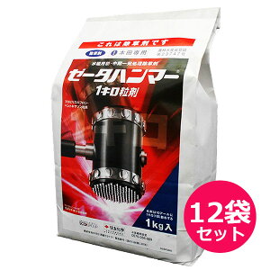 pEꔭ܃[[^n}[1L܁@1kg×12܃Zbg