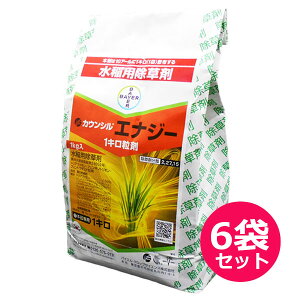 12/5()IIm1/2Iő100pobN(EvGg[)pEꔭ܁@JEVGiW[1L܁@1kg×6܃Zbg